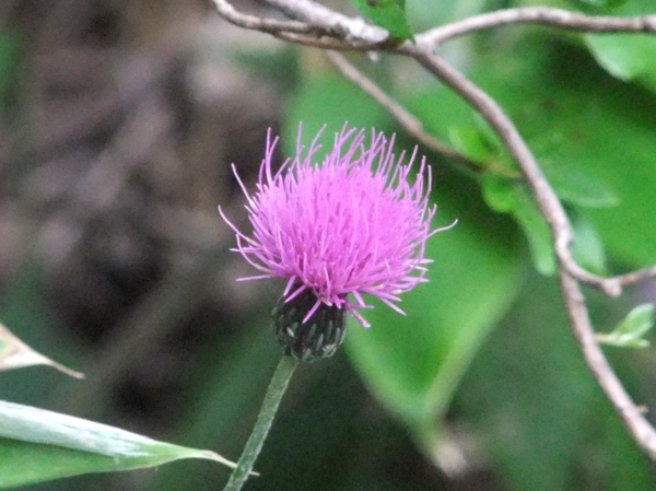 c0081645_22372577.jpg