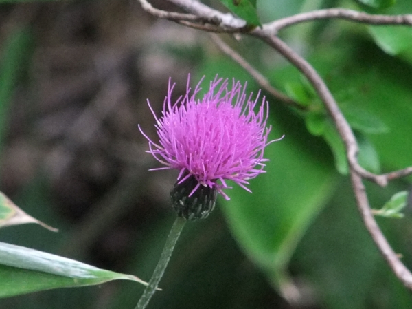 c0081645_22384354.jpg