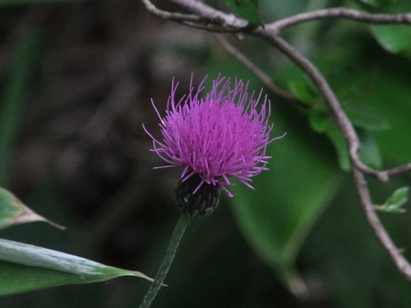 c0081645_22393236.jpg