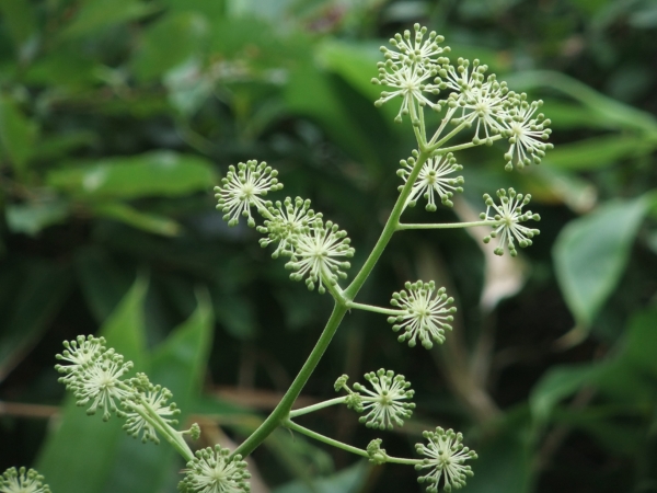 c0081645_22432422.jpg