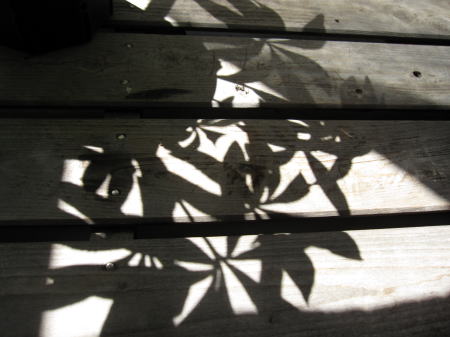 c0147952_23152865.jpg