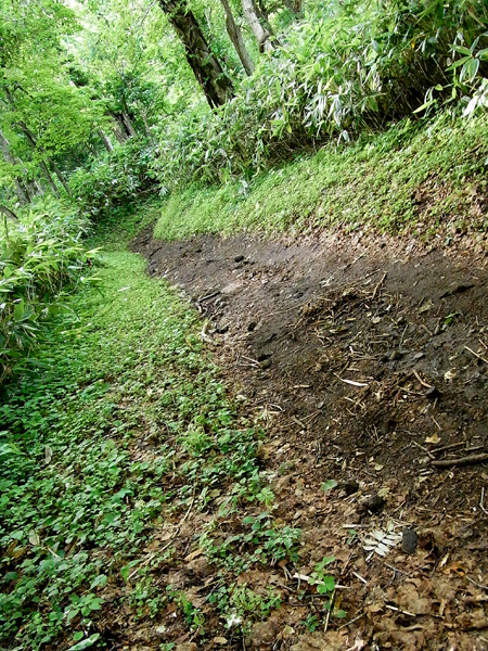 f0225953_22185365.jpg