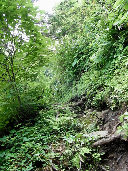 f0225953_22192119.jpg