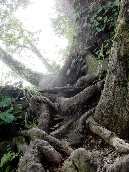f0225953_22195238.jpg