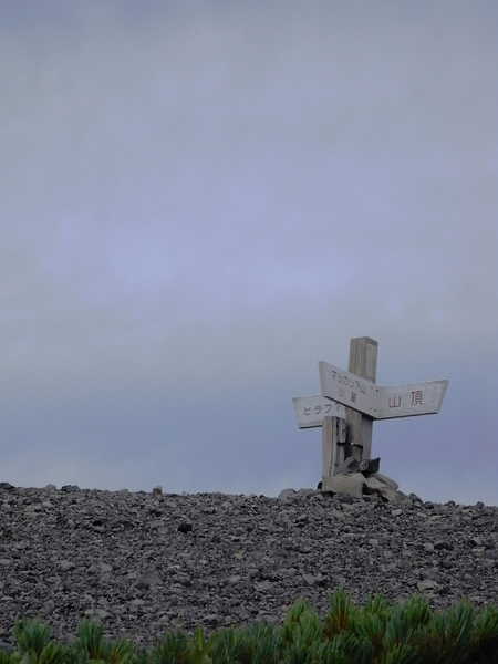 f0225953_22215023.jpg