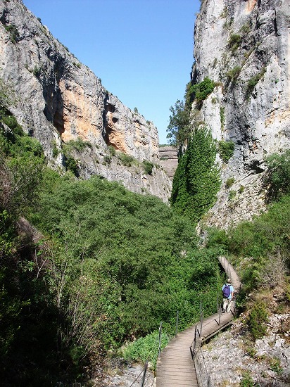 f0205857_18195871.jpg