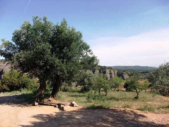 f0205857_1828992.jpg