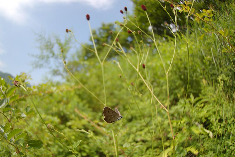 c0043361_125896.jpg