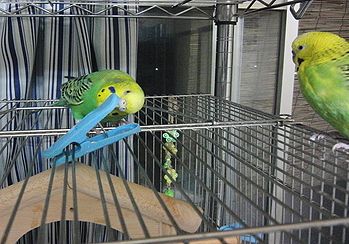 f0196665_0183670.jpg