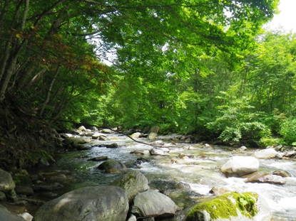 d0128167_22354111.jpg