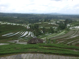 d0083068_9171431.jpg