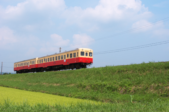 c0168669_11272463.jpg