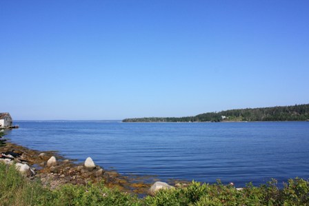 a0100975_12245761.jpg