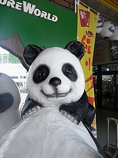 f0049479_141029.jpg