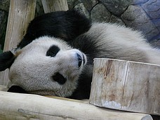 f0049479_1647100.jpg