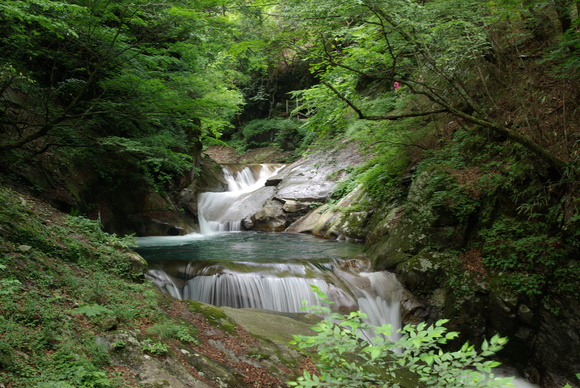 a0094280_2052378.jpg