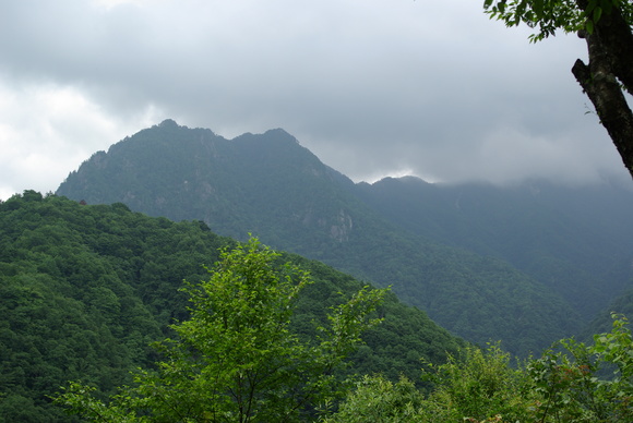 a0094280_20531591.jpg