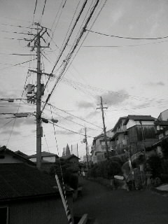 f0100480_21253954.jpg