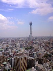 b0034381_655584.jpg