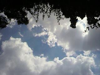 f0016981_2391843.jpg