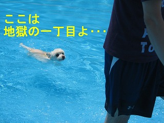 e0121589_205315.jpg