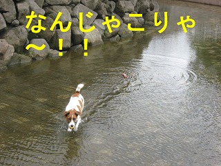 e0121589_2110147.jpg