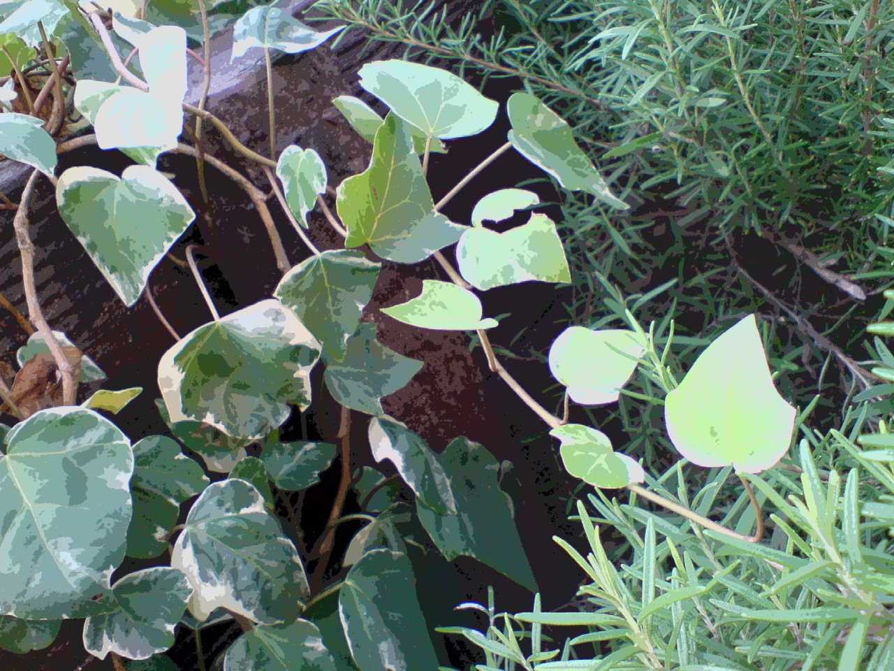 f0098094_1837586.jpg