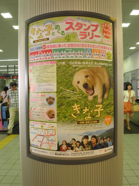 f0130894_21393080.jpg