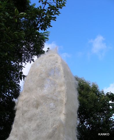 c0145299_0573757.jpg