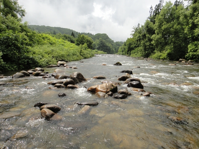 b0172805_784240.jpg