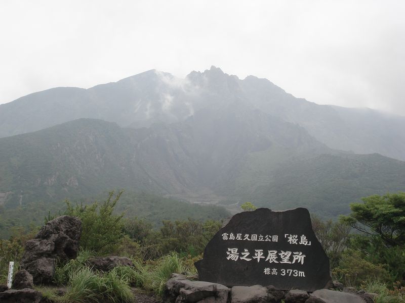 f0084806_20383815.jpg