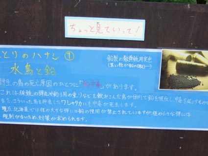 b0172208_1512127.jpg
