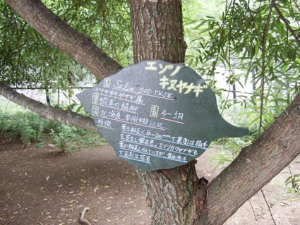 b0172208_1513733.jpg