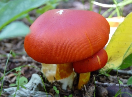 e0078510_22374185.jpg