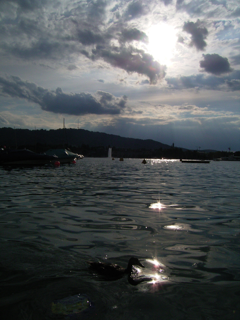 a0030714_10425623.jpg