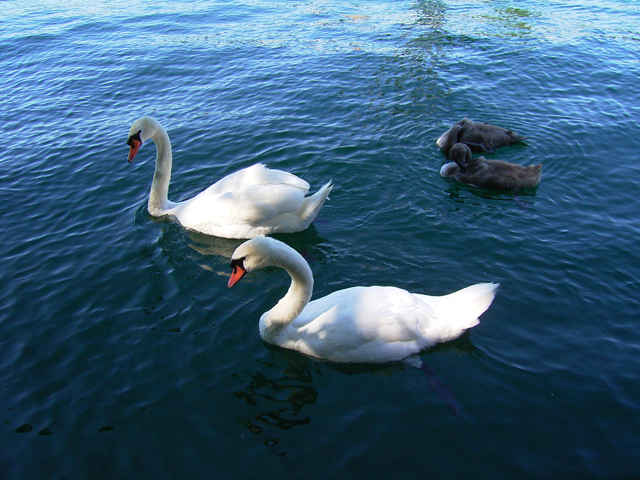 a0030714_1043716.jpg