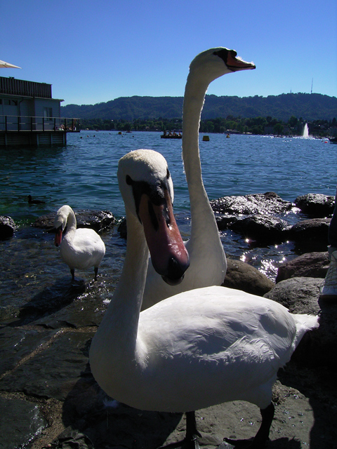a0030714_20144622.jpg
