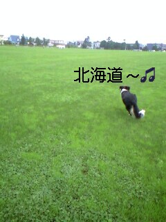 d0024219_0583891.jpg