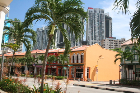 f0141419_810613.jpg