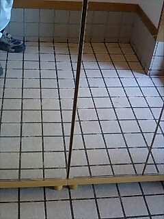 e0091220_2071268.jpg
