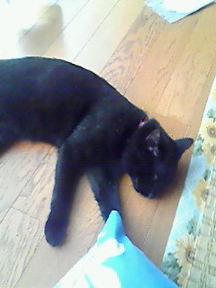 b0094025_14481361.jpg