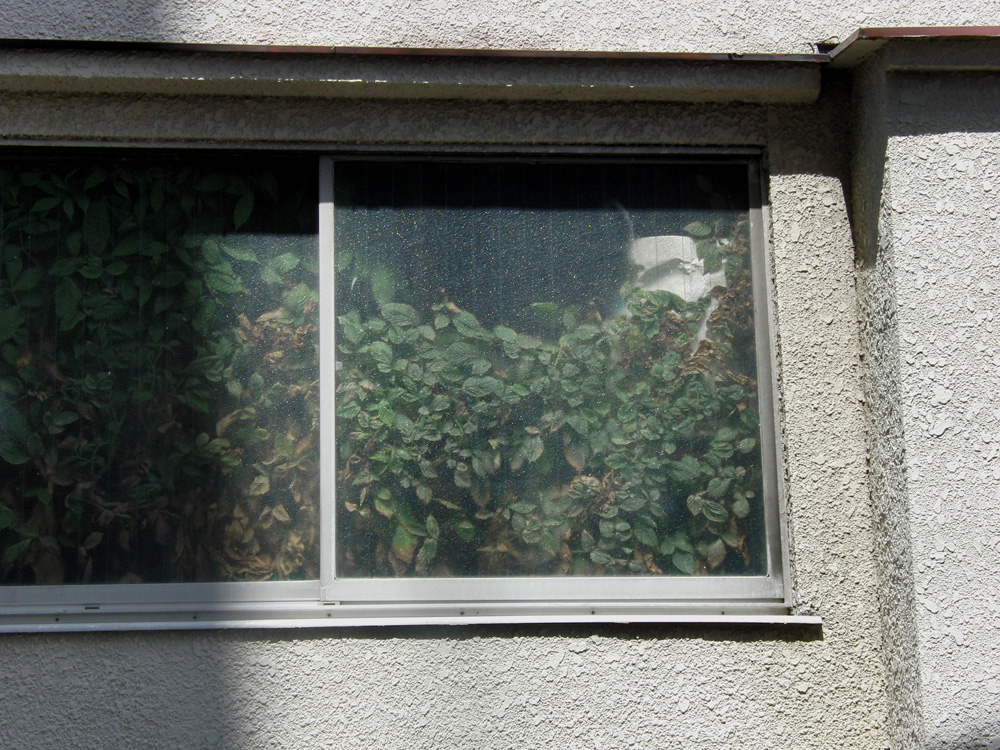 f0180529_22571834.jpg