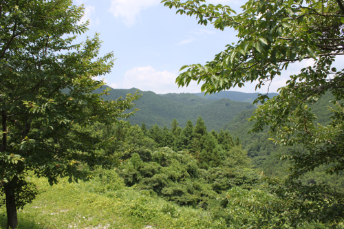 a0139631_200841.jpg