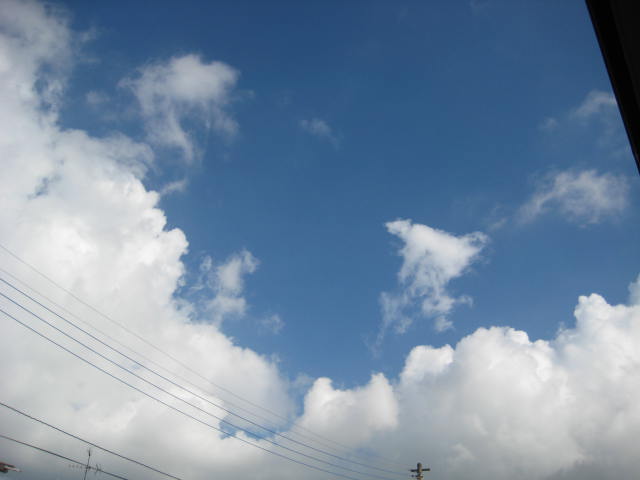 e0166032_20225158.jpg