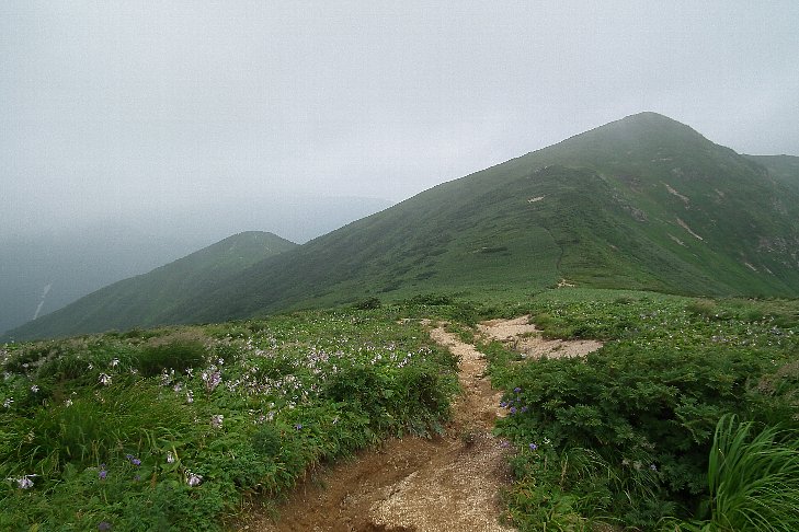 f0118332_921247.jpg
