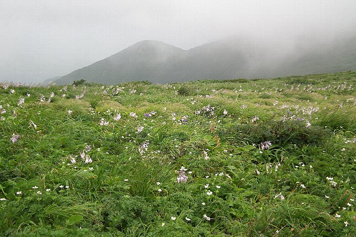 f0118332_92389.jpg