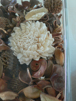 f0061334_20593493.jpg