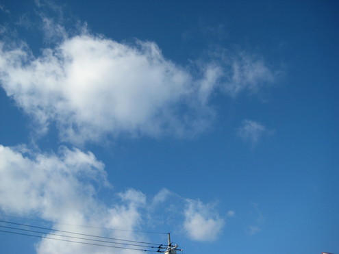 f0161834_854972.jpg