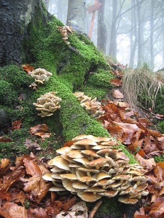 f0234936_2020098.jpg