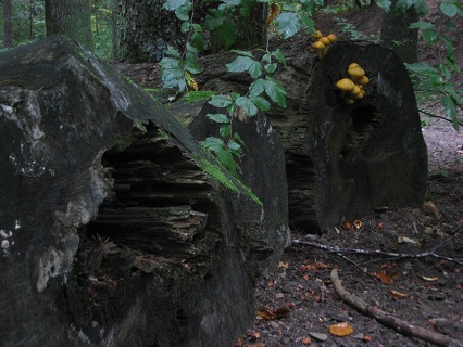 f0234936_202027100.jpg